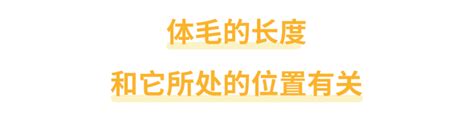 手毛變白|身上有一根毛特別長，是長壽象徵，還是癌變前兆？